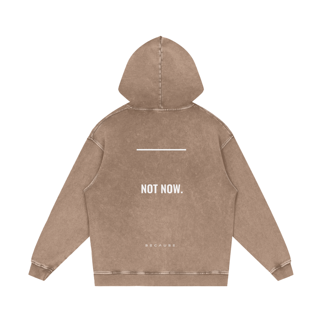 PORQUE AHORA NO. Sudadera con capucha | Oficial de BECAUSE