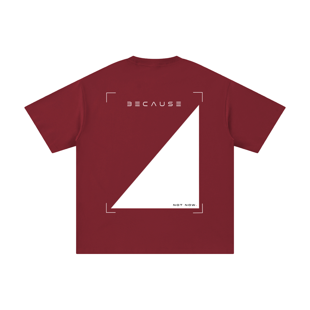 Camiseta PORQUE NO AHORA | Oficial de BECAUSE