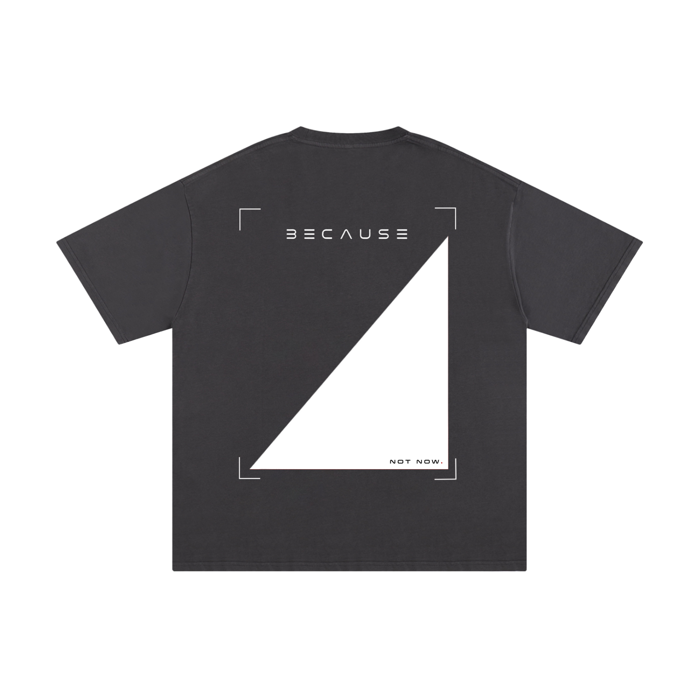 Camiseta PORQUE NO AHORA | Oficial de BECAUSE