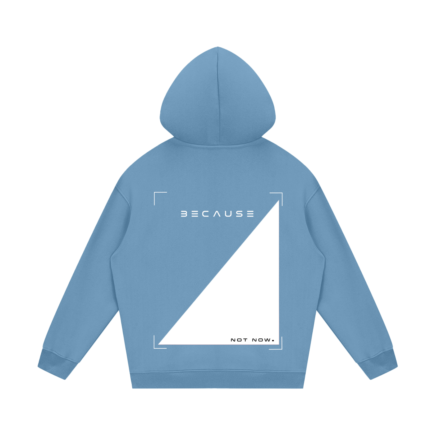 PORQUE NO AHORA. Sudadera con capucha | Oficial de BECAUSE