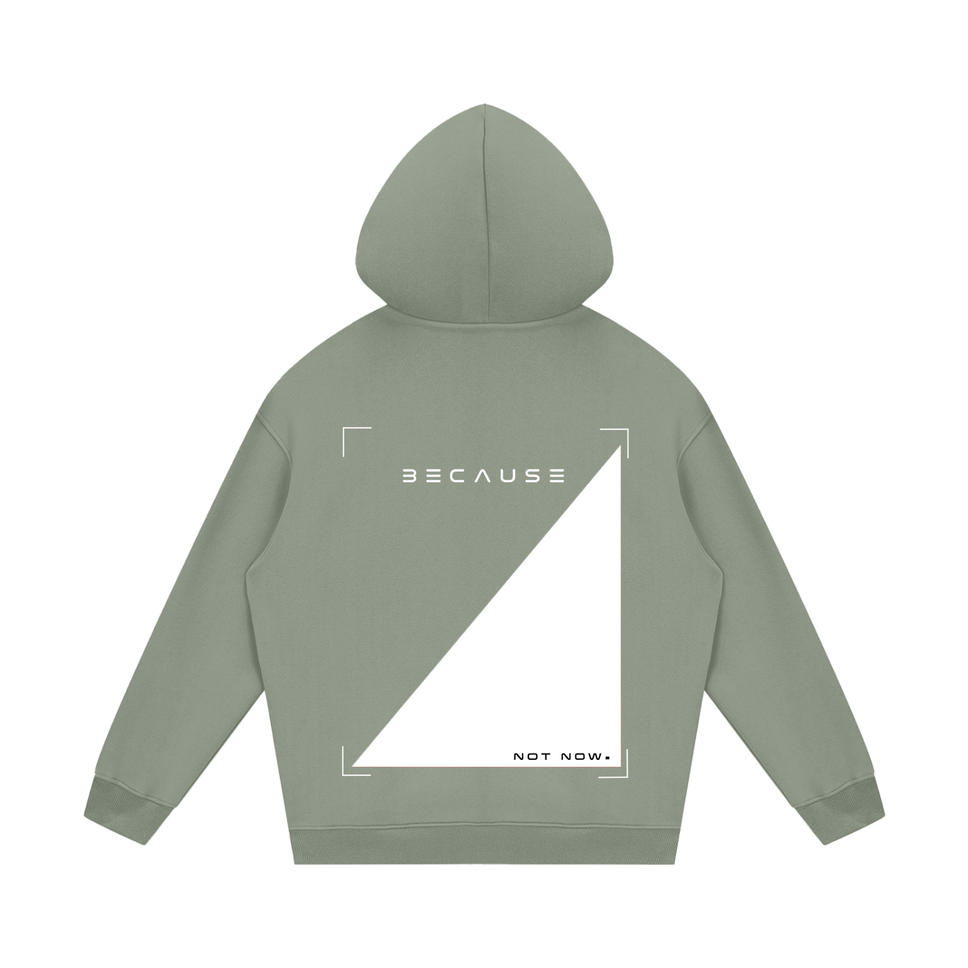 PORQUE NO AHORA. Sudadera con capucha | Oficial de BECAUSE