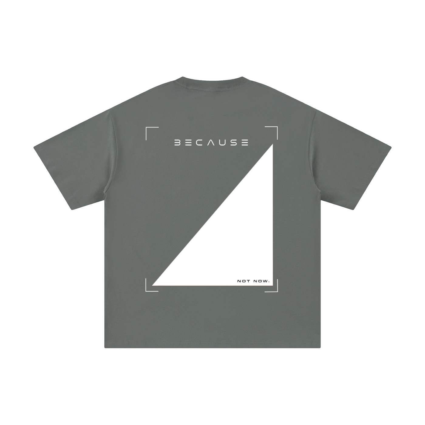 Camiseta PORQUE NO AHORA | Oficial de BECAUSE