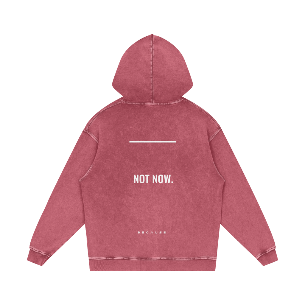 PORQUE AHORA NO. Sudadera con capucha | Oficial de BECAUSE