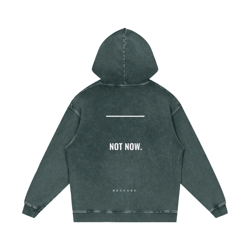 PORQUE AHORA NO. Sudadera con capucha | Oficial de BECAUSE