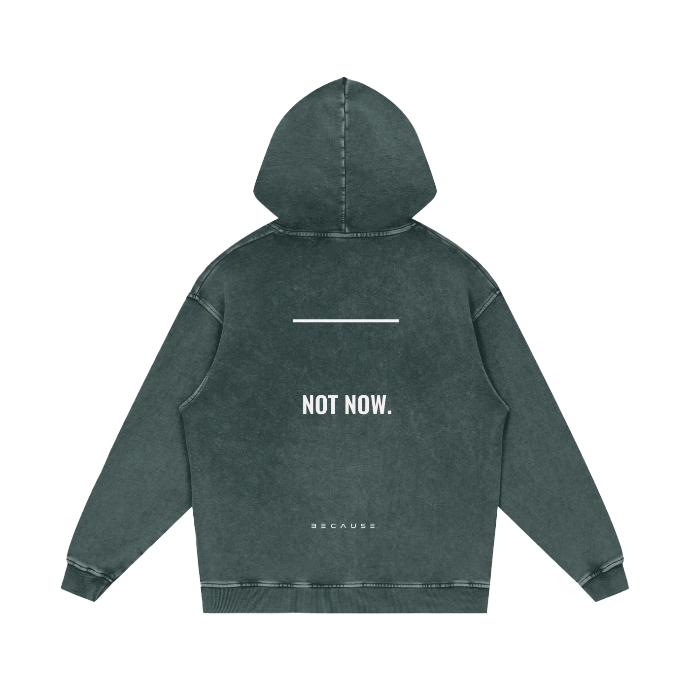 PORQUE AHORA NO. Sudadera con capucha | Oficial de BECAUSE