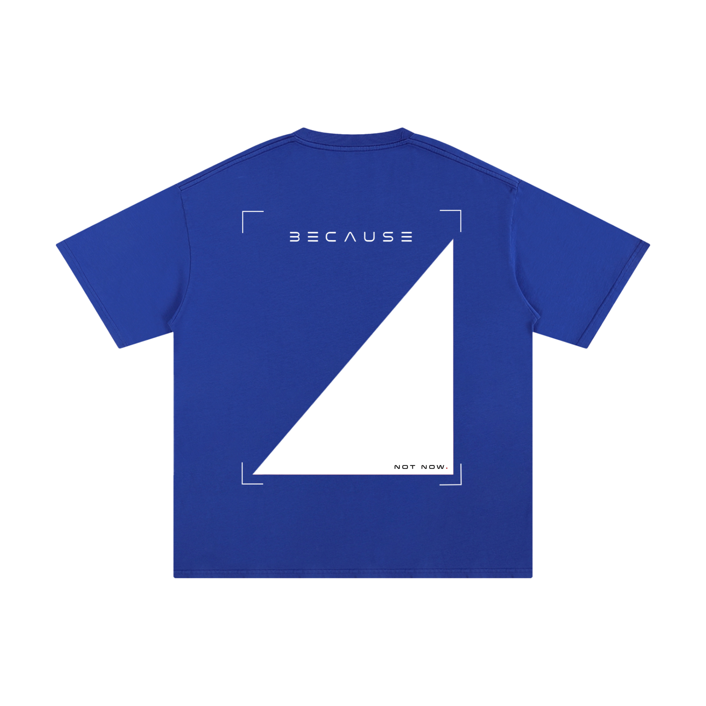 Camiseta PORQUE NO AHORA | Oficial de BECAUSE