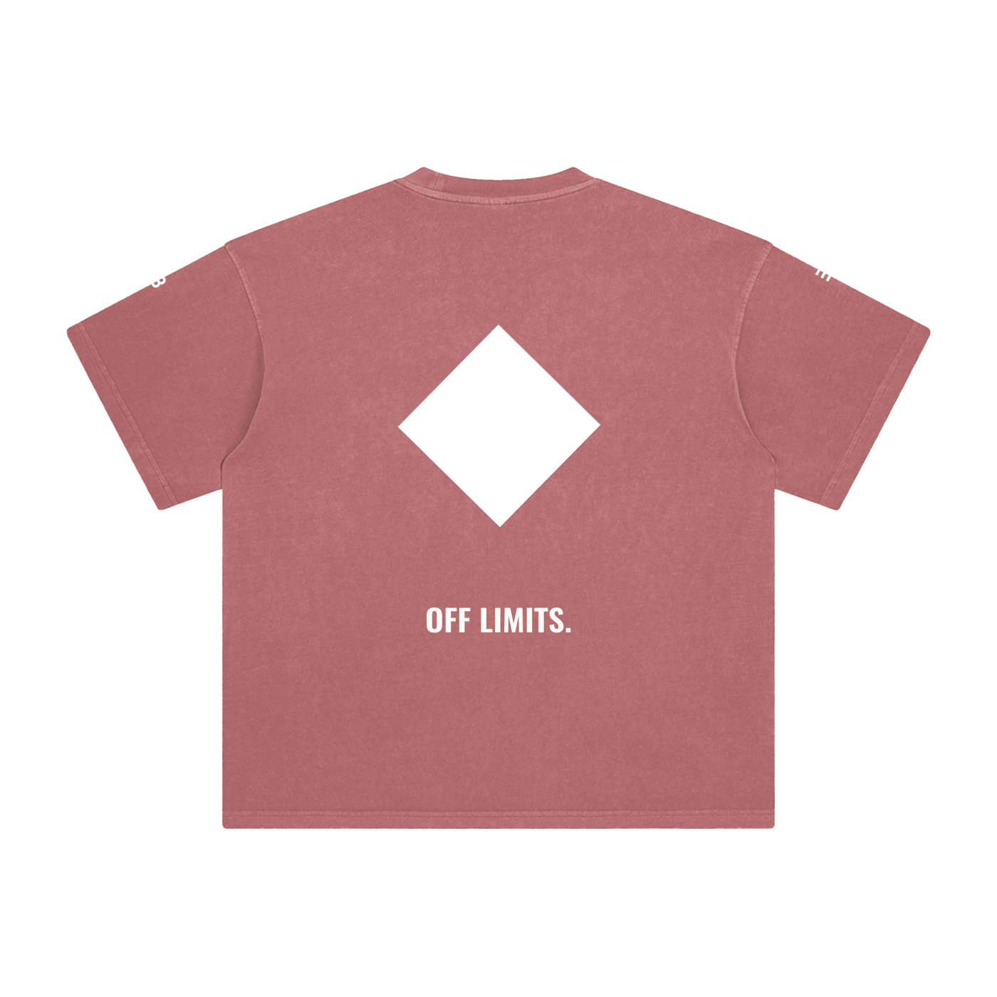 PORQUE ICONO. Camiseta | BECAUSE Oficial