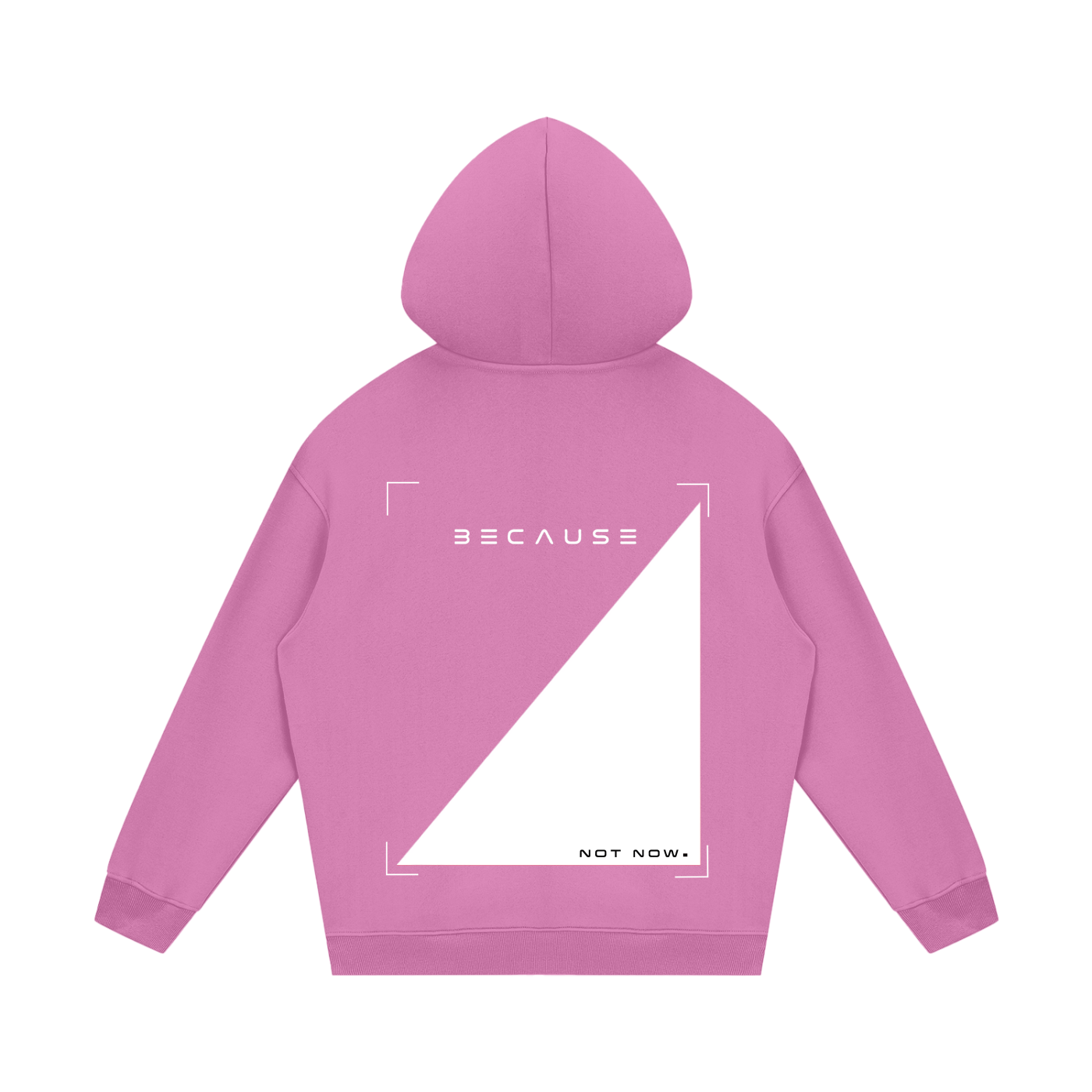 PORQUE NO AHORA. Sudadera con capucha | Oficial de BECAUSE