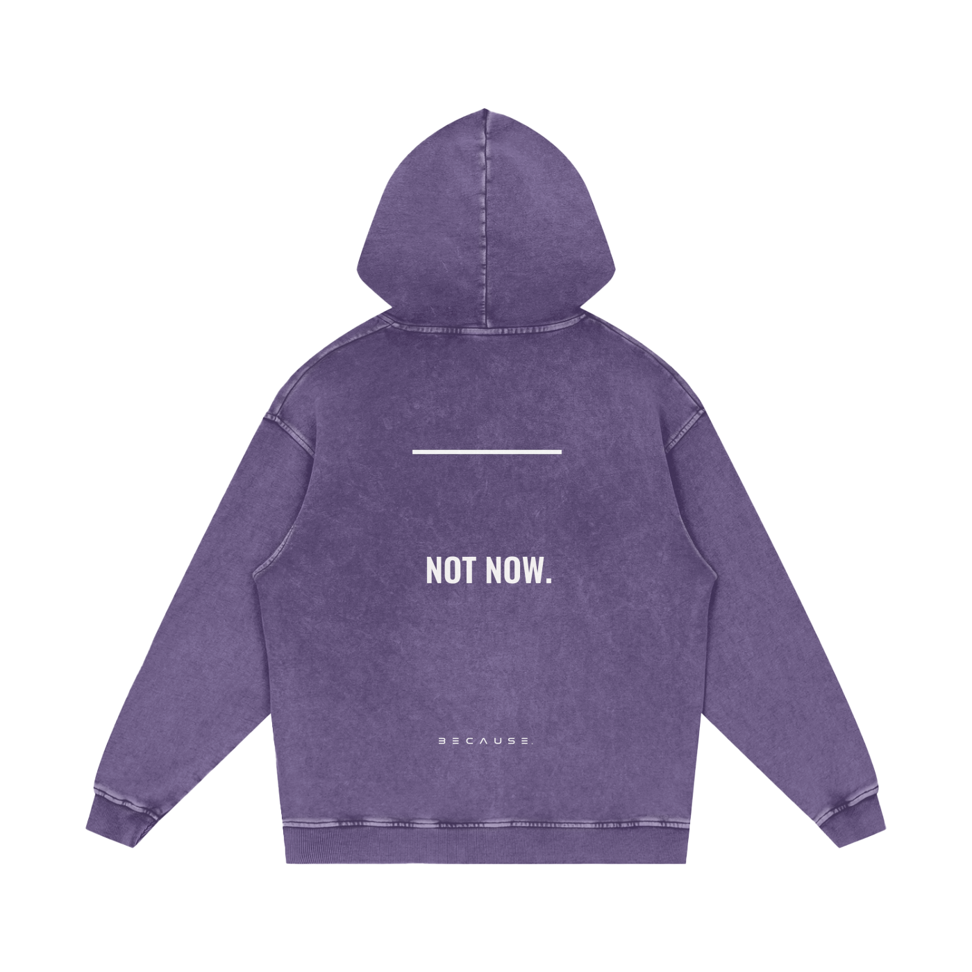 PORQUE AHORA NO. Sudadera con capucha | Oficial de BECAUSE